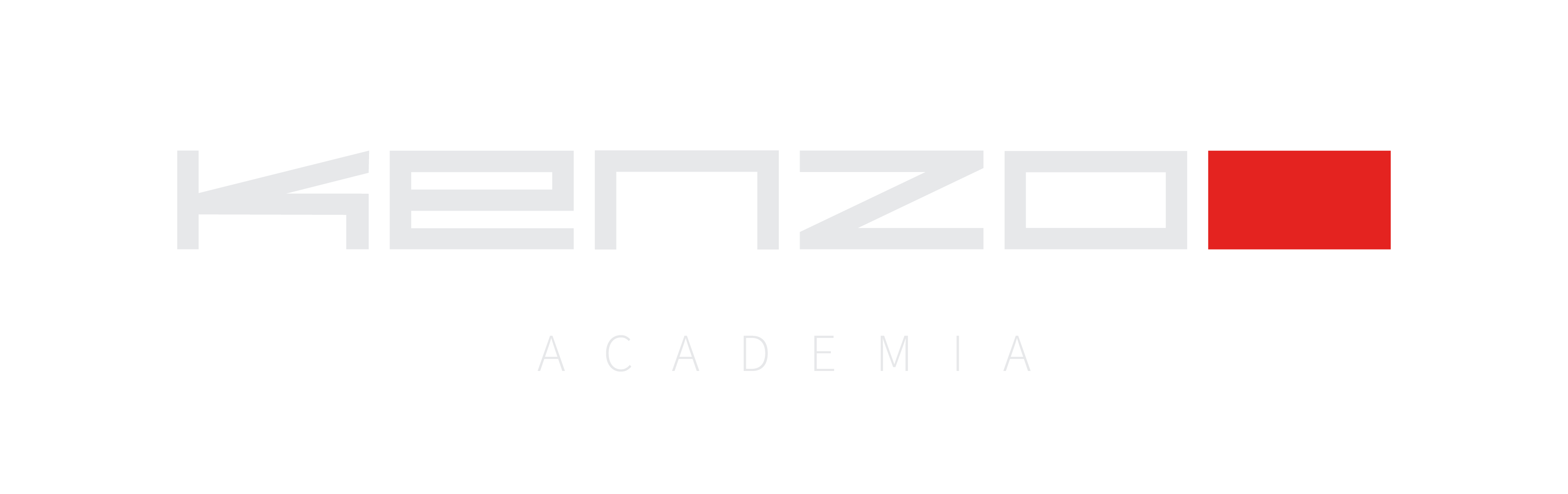 Logo Kenzo Academia